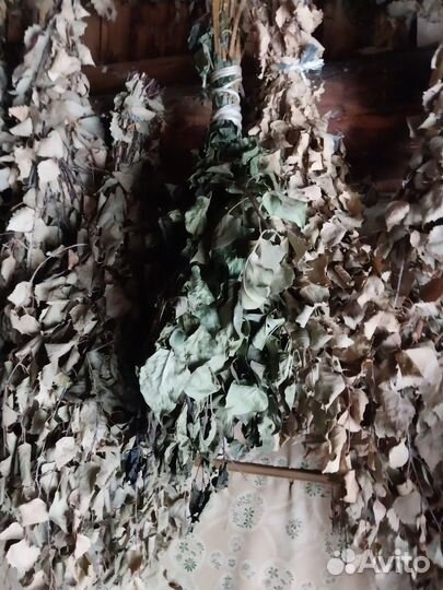 Веники баные