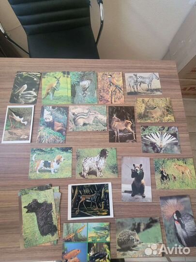 Открытки советские СССР