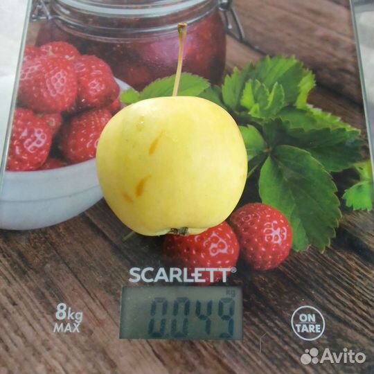 Продам яблоки голден, сладкие 500 р 8 л ведро