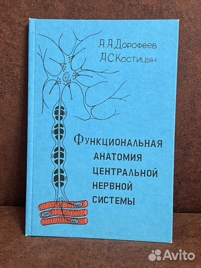 Дорофеев А.А. Функциональная анатомия цнс