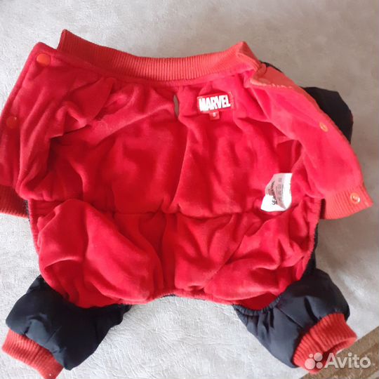 Одежда для маленьких собак