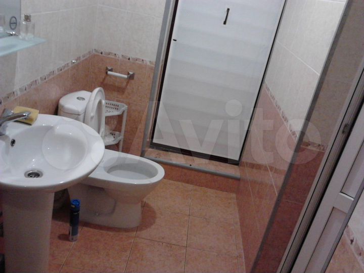 1-к. апартаменты, 60 м², 1/2 эт.