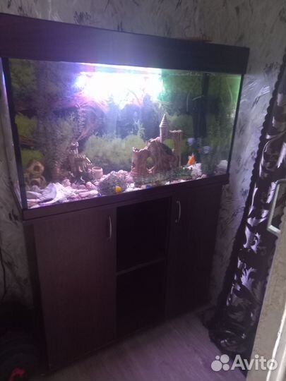 Аквариум с тумбой
