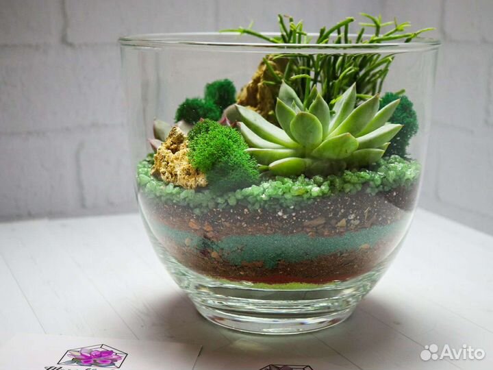 Флорариум террариум суккуленты подарок девушке