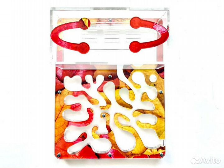 Муравьиная ферма 