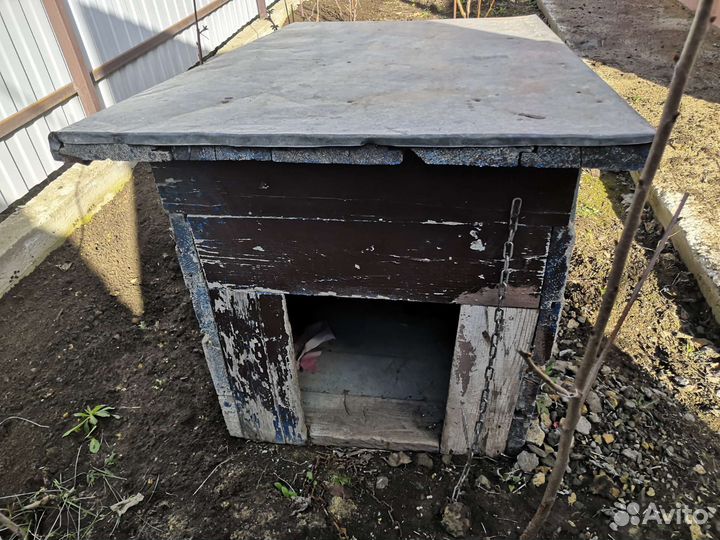 Будка для собаки