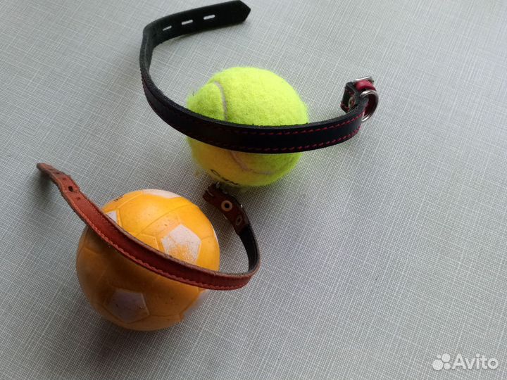 Товары для домашних животных