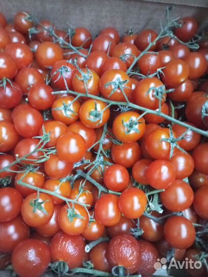 Помидоры и фрукты оптом и в розницу