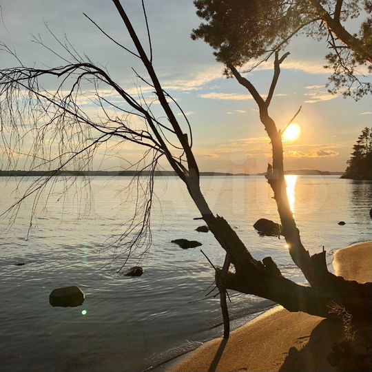 Участок 35 сот. (ИЖС)