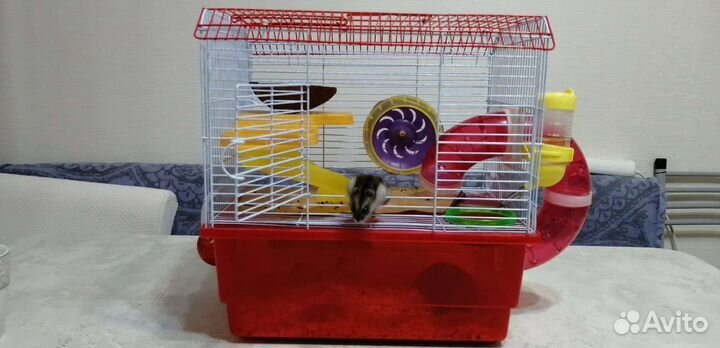 Клетка для грызунов