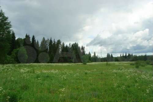 Участок 8,97 га (СНТ, ДНП)