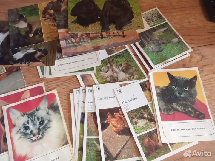 Открытки СССР