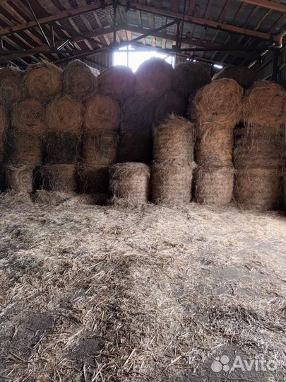 Сено в рулонах