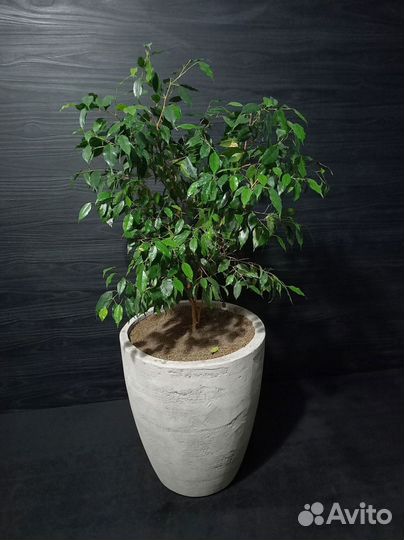 Вазон для цветов на 48 литров, авито доставка 44