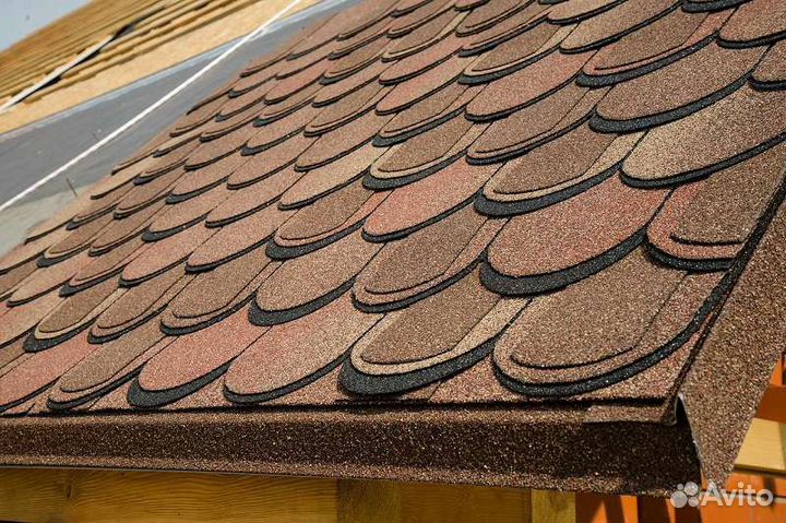 Шинглас Атлантика