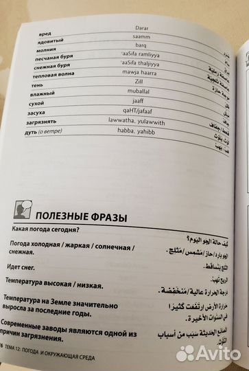 Арабский язык бесплатная доставка