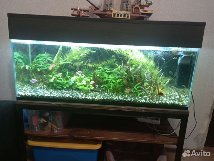 Аквариум