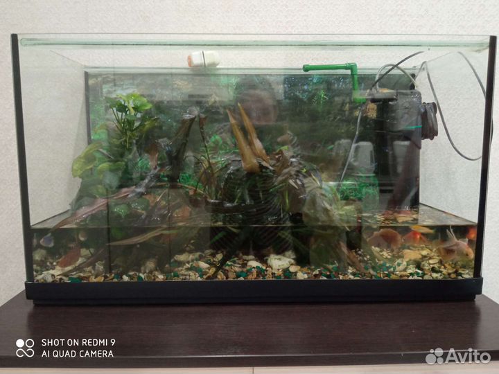 Аквариум 90 литров