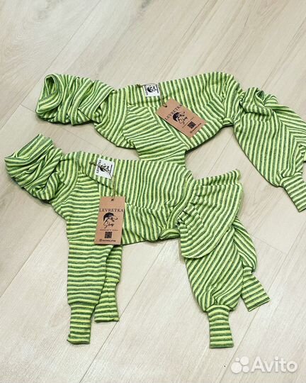 Комбинезон, костюм /трикотажный на левретку