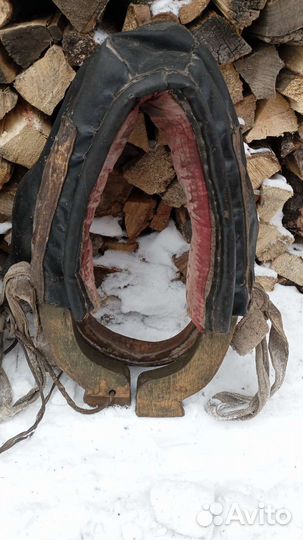 Сбруя для лошади