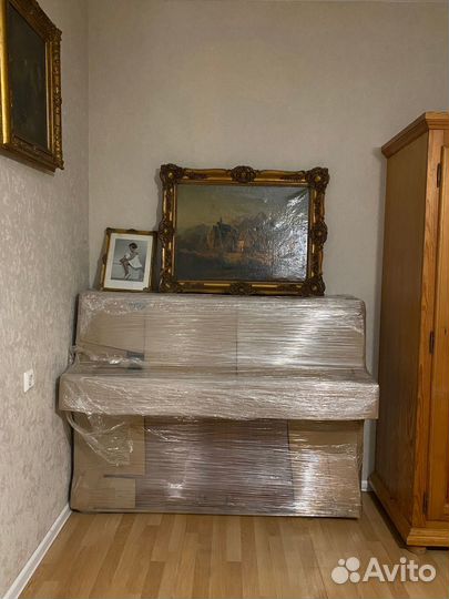 Пианино zimmermann