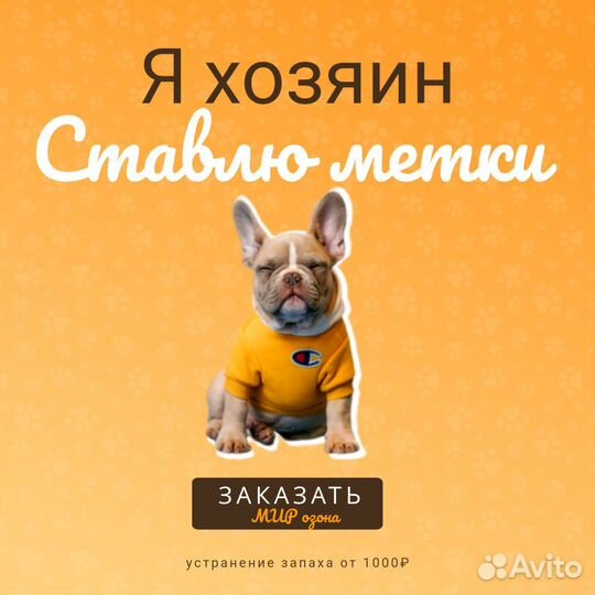 Озонирование : квартир, домов, авто Москва/мо 24/7