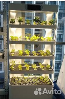 Фитолампа для микрозелени и растений