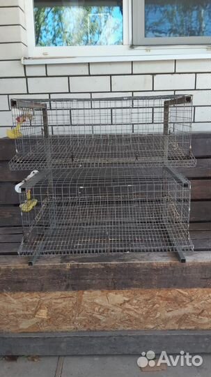 Клетки для перепелов бу