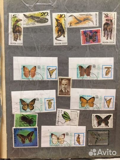 Почтовые марки