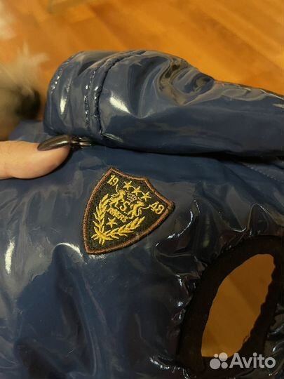 Одежда для собак