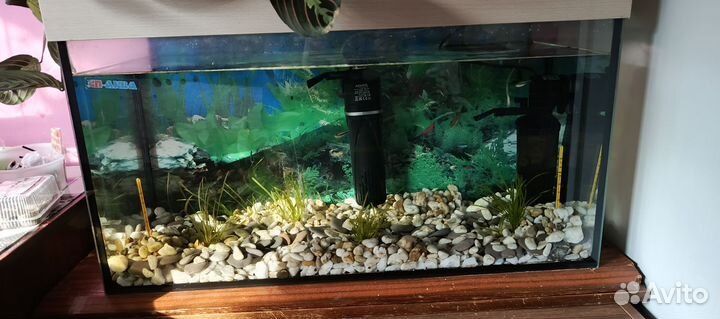 Аквариум с рыбками