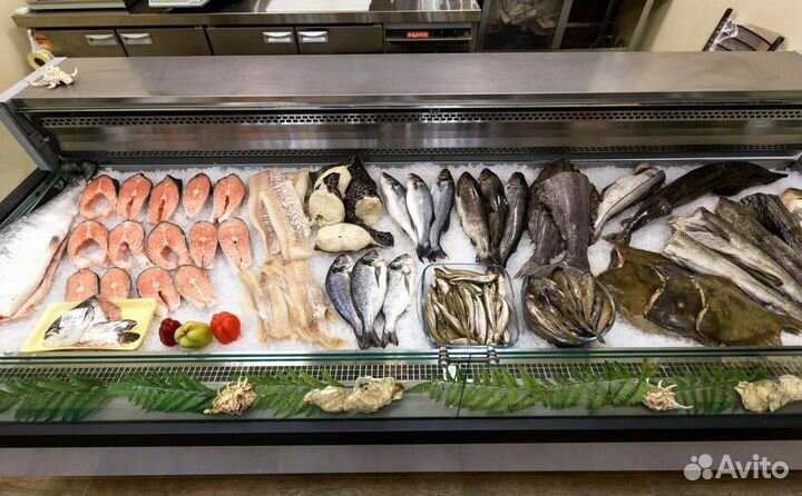 Готовый бизнес – рыбный магазин для вас