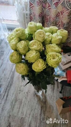 Розы Эквадор