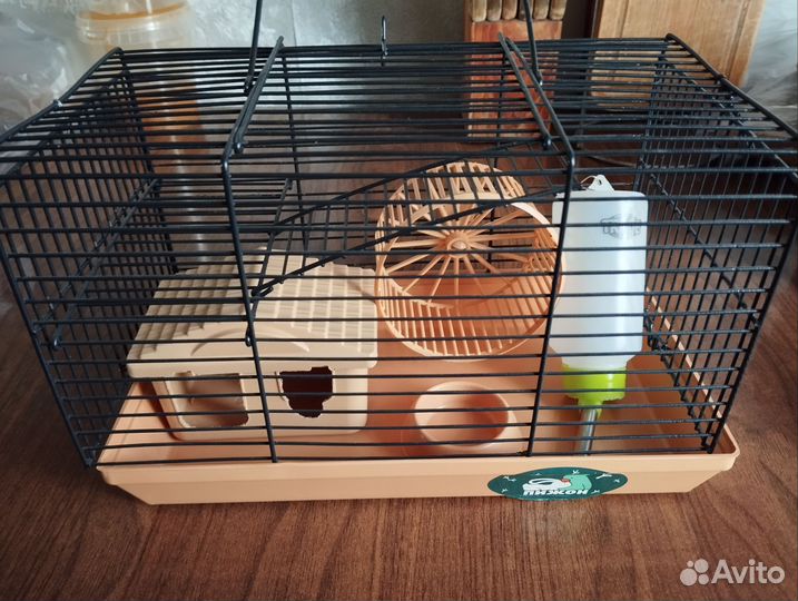 Корм для кошек