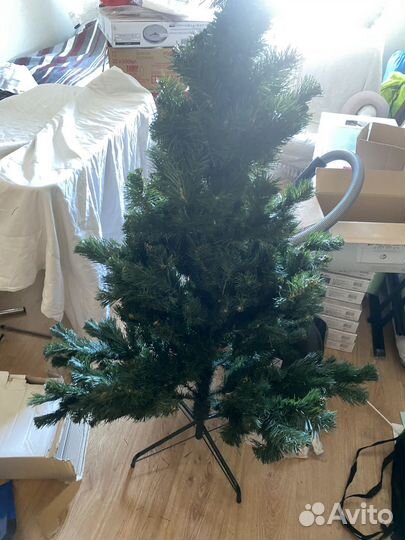 Ель Каролина 150 см