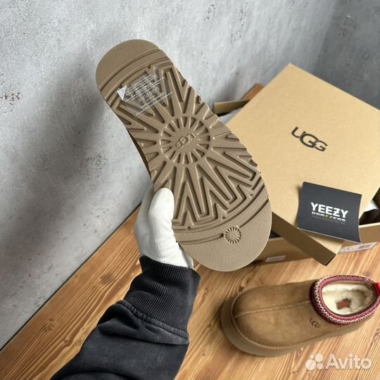 Женские Тапочки Ugg Tazz Platform Chestnut