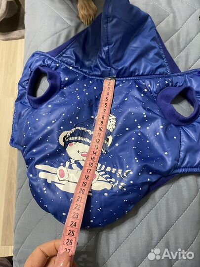 Одежда для мини собак