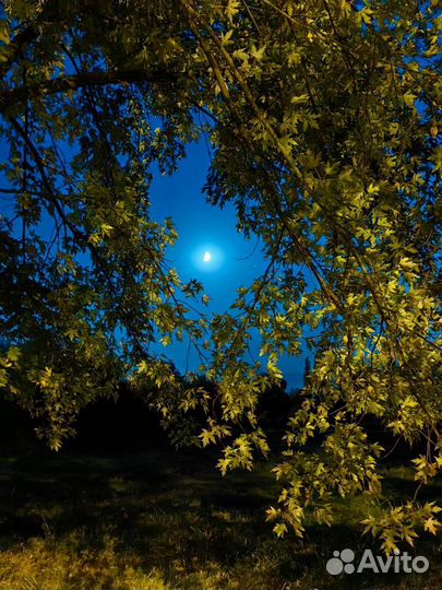 Поздравления в стихах