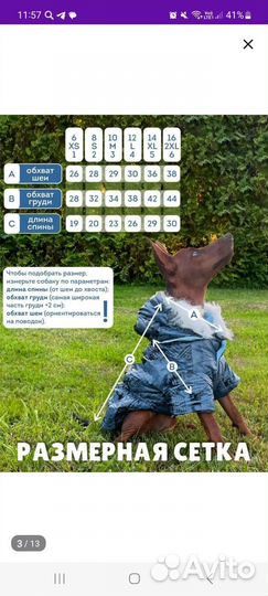 Куртка для собак мелких пород