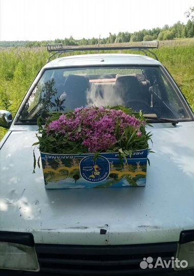 Иван чай ферментированный гранулированный