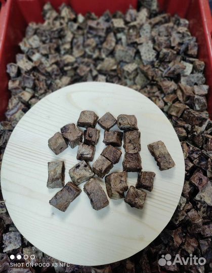 Лёгкое сушеное