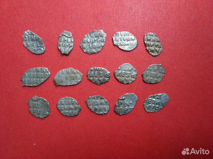 Серебряные чешуйки (деньги и копейки)
