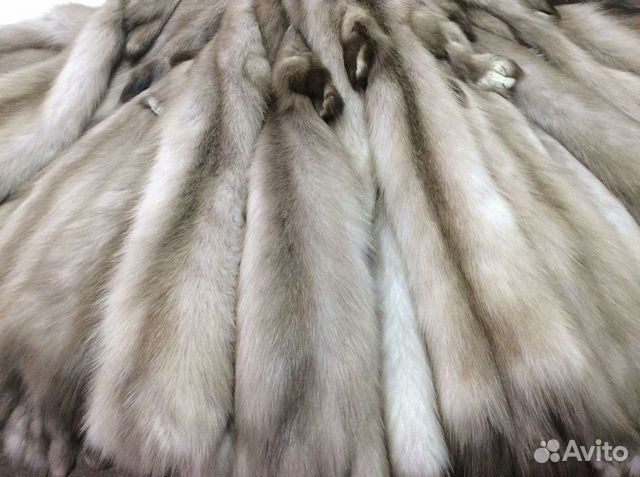 Шкуры куницы