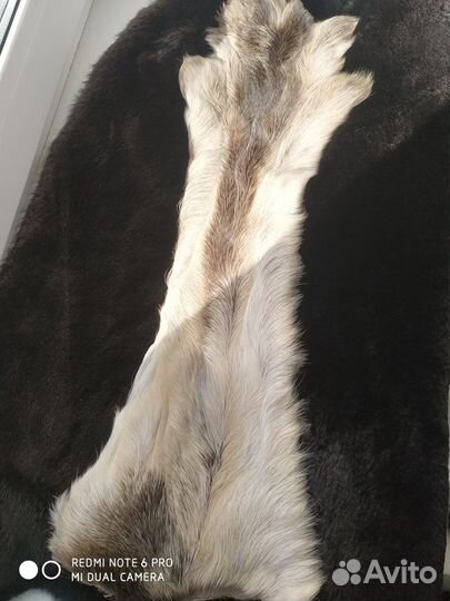 Камус лосиный