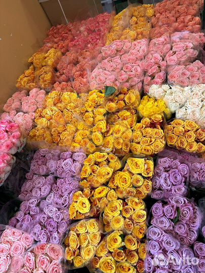 Букет из 51 розы 60см с офомлением