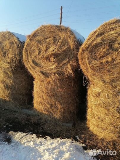 Сено в тюках