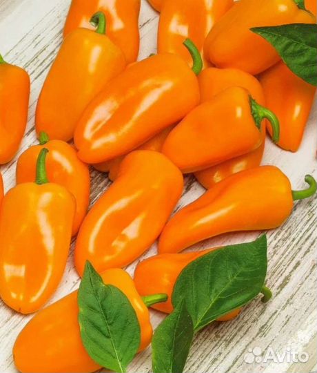 Перец Лисичка семена