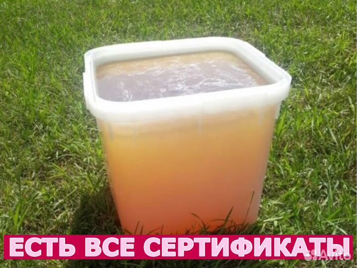 Мёд оптом с Алтая в Королёве