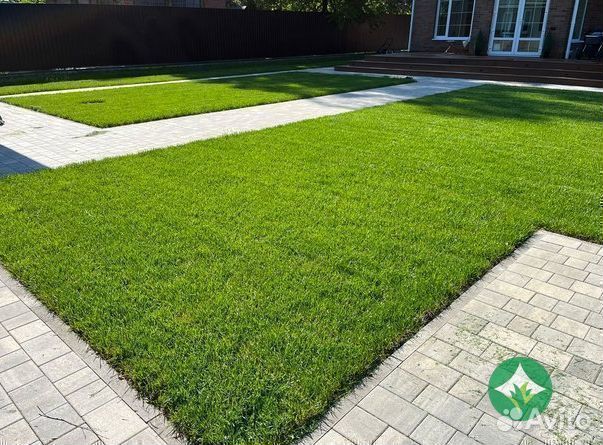 Газон рулонный с укладкой