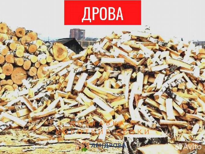 Дрова березовые